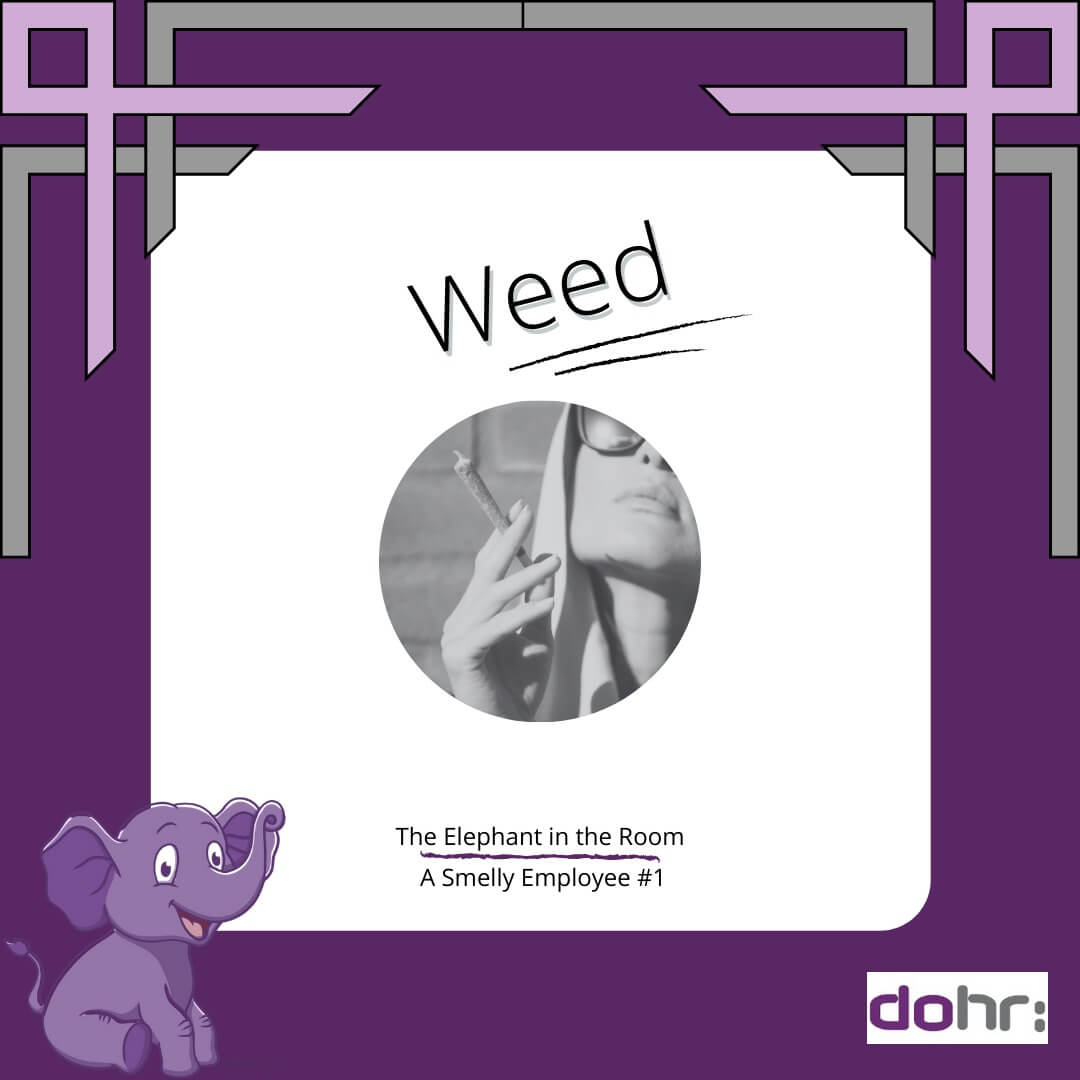 The Elephant in the Room: The Smelly Employee – Weed